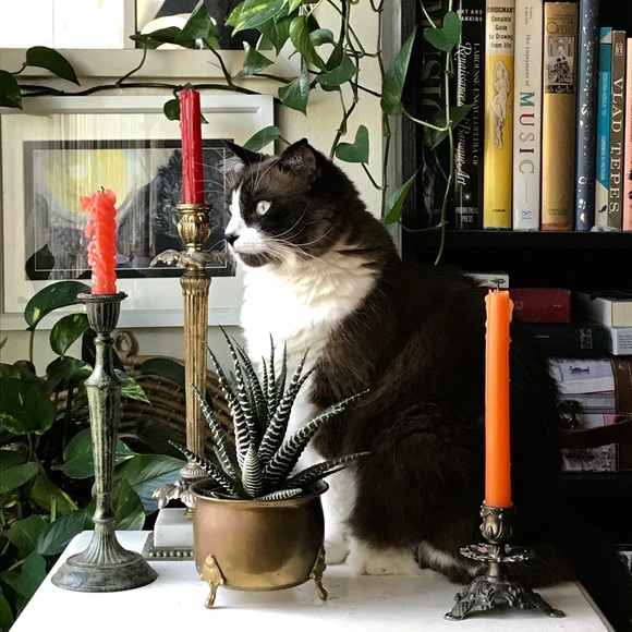 Meet your Posher, Cristina - Picture 12 of 16